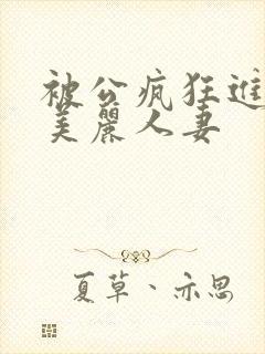 被公疯狂进入的美丽人妻