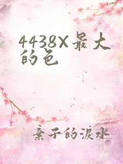 4438X最大的色