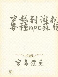 穿越到游戏里和各种npc苏绾