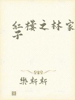 红楼之林家庶长子