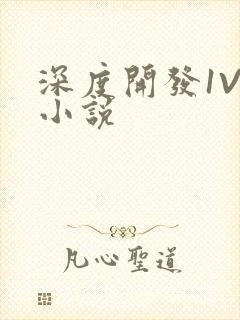 深度开发1V3小说