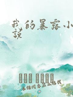 我的暴露小说小说