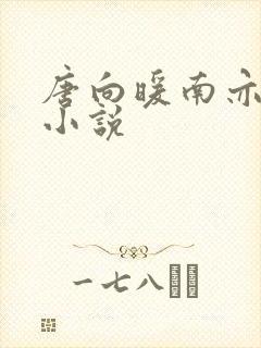 唐向暖南亦琛的小说