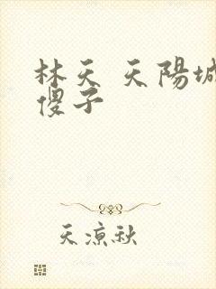 林天 天阳城 傻子