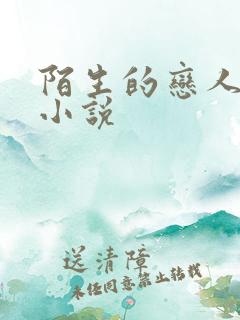 陌生的恋人原著小说