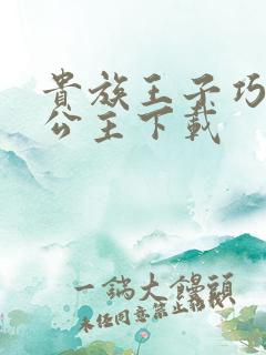 贵族王子巧遇穷公主下载