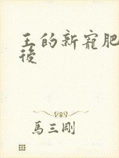 王的新宠肥婆皇后