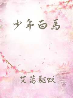 少年白马