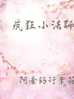 疯狂小法师