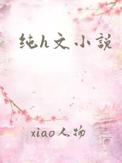 纯h文小说
