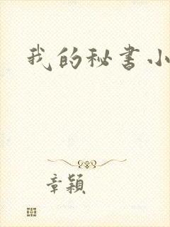 我的秘书小姐