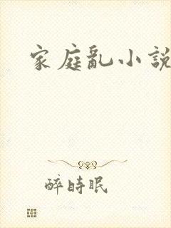 家庭乱小说