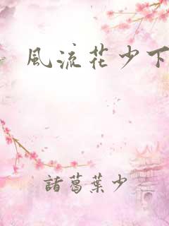 风流花少下载