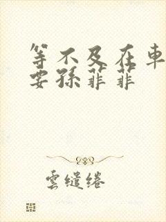 等不及在车里就要孙菲菲