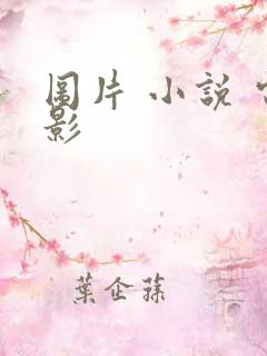 图片 小说 电影