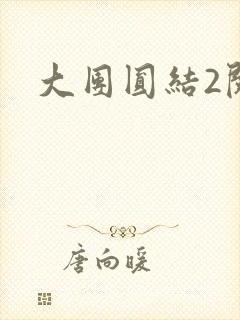 大团圆结2阅读
