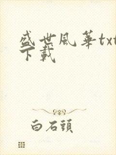 盛世风华txt下载