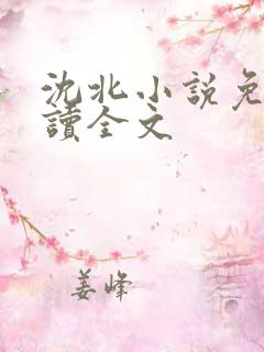 沈北小说免费阅读全文