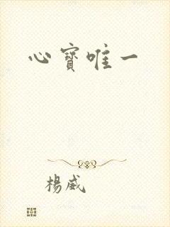 心宝唯一