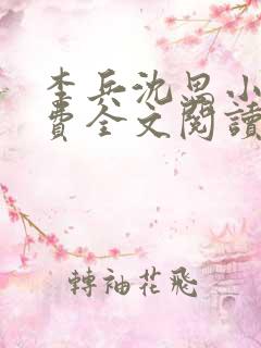 李兵沈思小说免费全文阅读