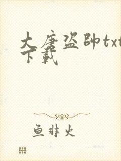 大唐盗帅txt下载