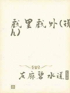 戏里戏外(现场h)