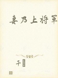 妻乃上将军下载