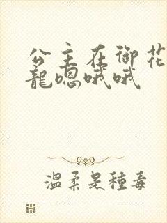 公主在御花园吃龙嗯哦哦