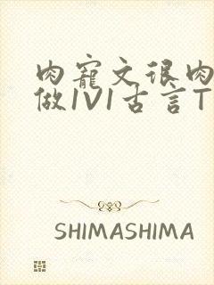 肉宠文很肉到处做1V1古言T