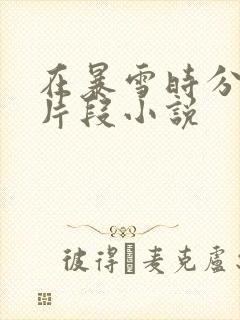 在暴雪时分高能片段小说