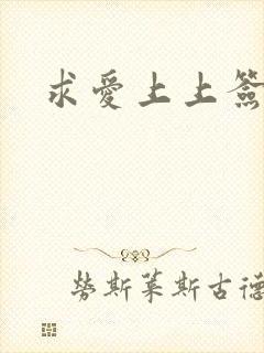 求爱上上签国语