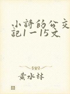 小诗的公交车日记1一15文