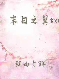 末日之翼txt