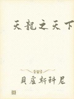 天龙之天下有我