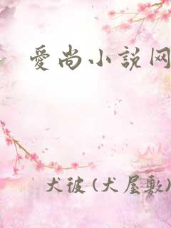 爱尚小说网