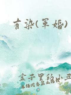有染(军婚)