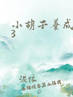 小胡子养成计划3