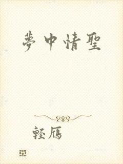 梦中情圣