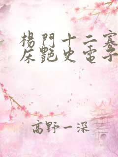 杨门十二寡妇肉床艳史电子书