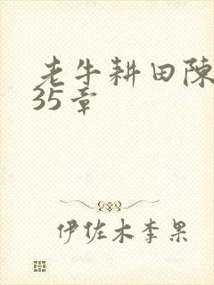 老牛耕田陈雪435章