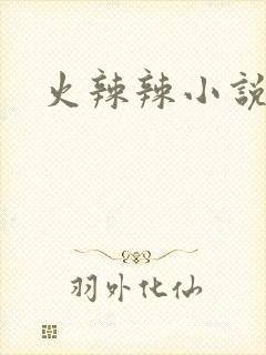 火辣辣小说全集