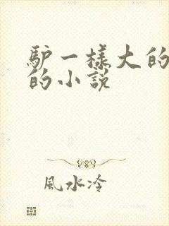 驴一样大的凶器的小说