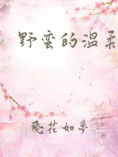 野蛮的温柔
