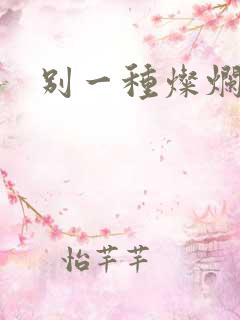 别一种灿烂生活