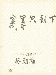 家里只剩下我和我哥