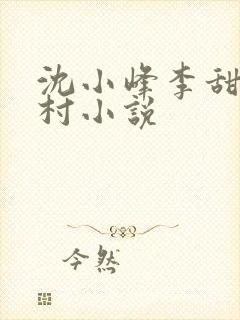 沈小峰李甜的乡村小说