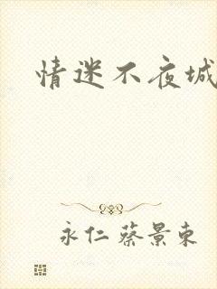 情迷不夜城