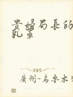 贵妇局长的蕾丝乳罩