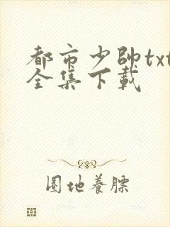 都市少帅txt全集下载