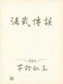 法武传说